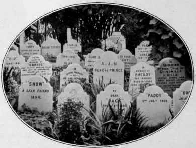 Cats' Tombstones In The Dogs' Cemetery, Hyde Park