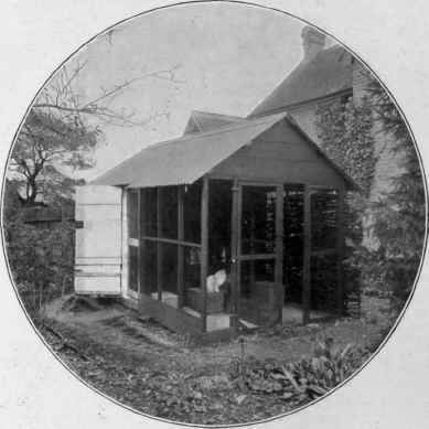 Miss Leake's Summer Cattery