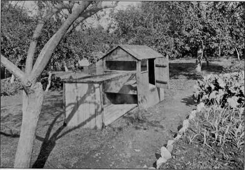 Mrs. James's Cat Houses At Backwell