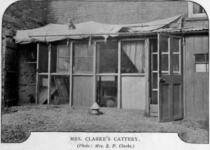 Some Notable Catteries Continued 106