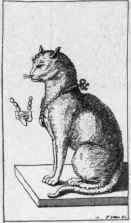 The God Cat