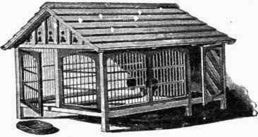 Cats' House with Run.