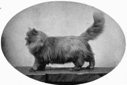 Champion: 'Lord Monckton of Dundee: Lord Monckton of Dundee