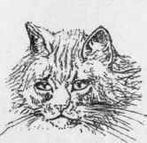 Grammer s Cat And Ours 75