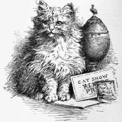 Miss Mary Gresham's Persian Kitten   Lambkin No. 2
