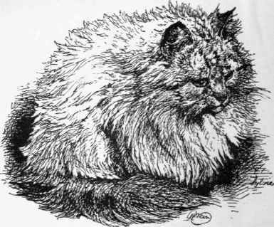 Miss Saunders   Sylvie