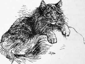 Miss Saunders   Tiger