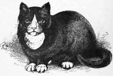 Propf.RLY Marked Black And White