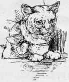 The Brown Tabby Cat 35