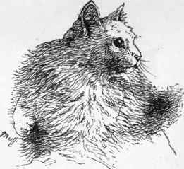 The First Cat Show 8