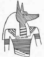 Anubis, God of the Setting Sun.