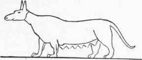 Dachshund like Pet Dog of the Egyptians.