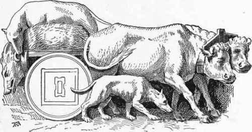 Roman Boarhound.