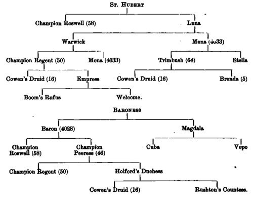 Lord Poltimobe's Foxhound Lexicon
