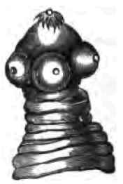 Head Of Tape Worm.