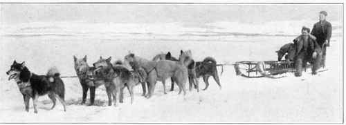 Dogs Sledging in the Icefields of the Northern Latitudes.