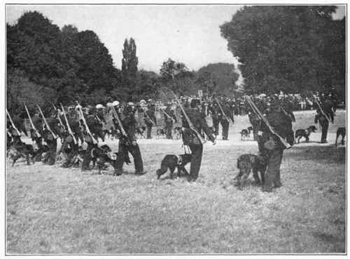 The Canine Ambulance Division of the French Army Off to the Front.