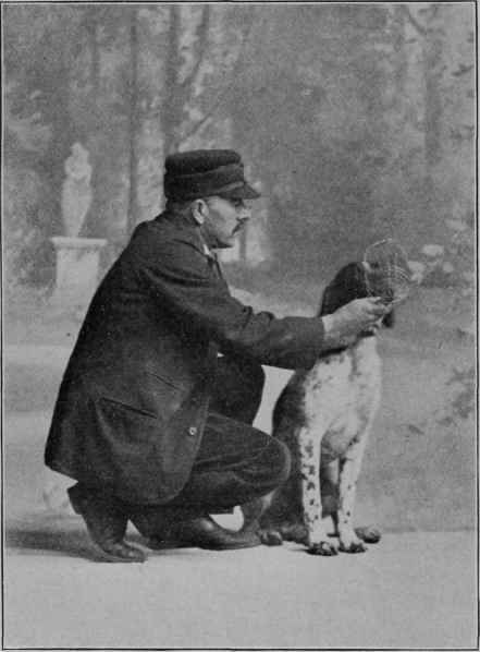 MUZZLING A DOG.