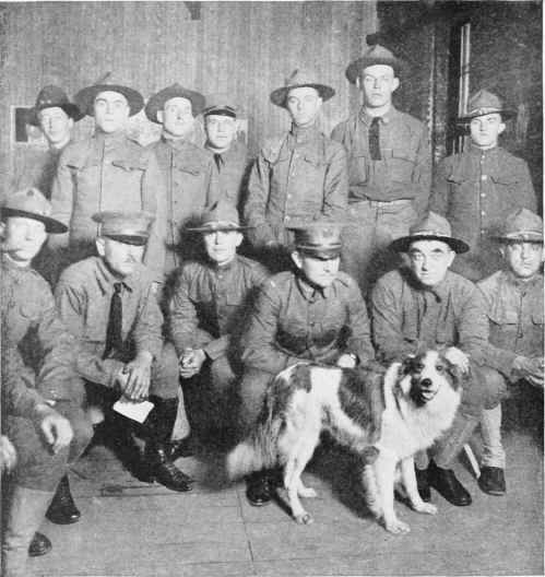A Collie Of Royal Ancestry Became The Mascot Of American Soldiers.