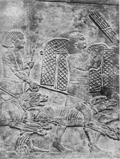 Dogs Of The Chase 2,500 Years Ago.