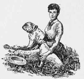 Varieties Of Animal Foods Part 4 11