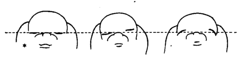 Various Positions of the Eyes of a Toy Spaniel when Shut