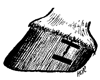 Diseases Arising From Faulty Conformation A Sand C 096
