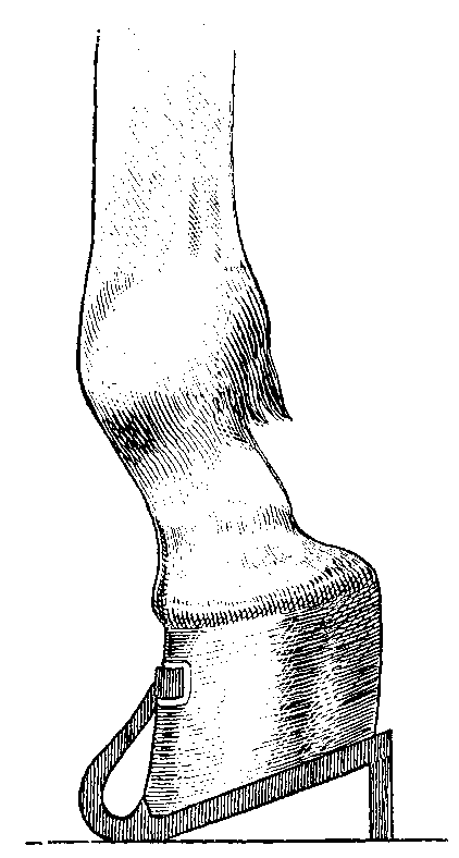 Fig. 84.   The Shoe With Extended Toe Piece And High Calkins