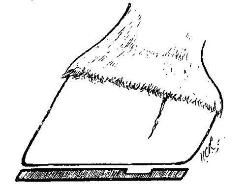 Fig. 92.   The Bearing 'Eased' By Thinning The Web Of The Shoe