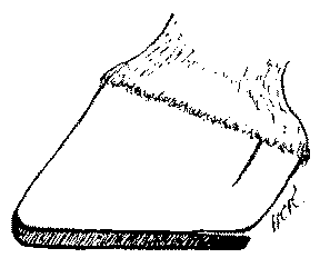 Fig. 93.   The Bearing 'Eased' By 'Springing' The Heel Of The Shoe