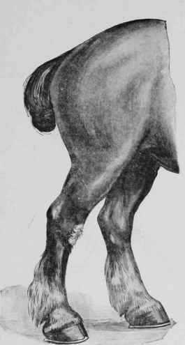 Sallanders.
