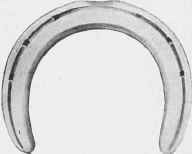 Toe tip for Horses turned to grass.