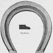 A Seated Foot Surface.