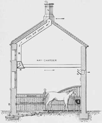 Section through Stable and Hayloft, showing Drainage and Ventilation.