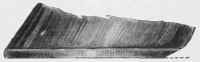 Shoe Fitted Short at the Heel.