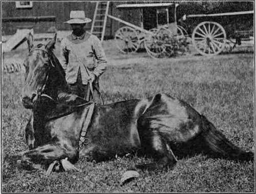 Brains versus brute force.