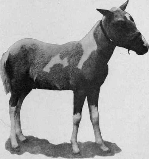 Disgusted with the circus in six months.