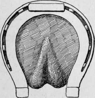 Durable and beautiful.