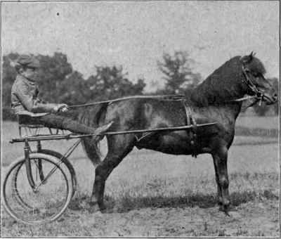 Exile of Pittsford (4520).