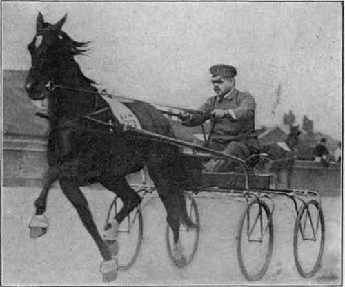 Lou Dillon, 1:58 1/2, holder of the world's trotting record.