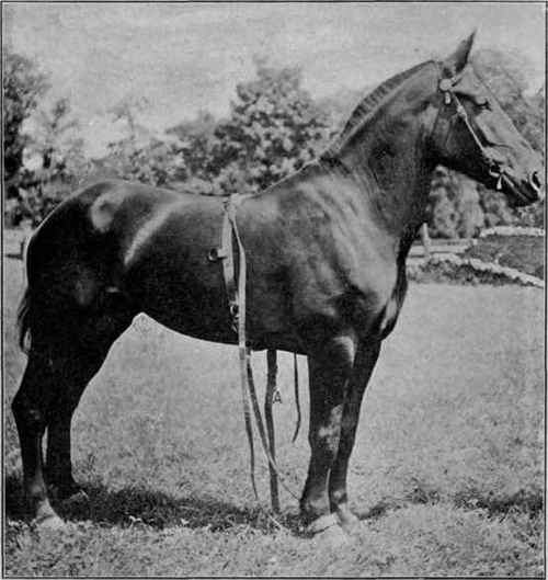 Ready for the second lesson.