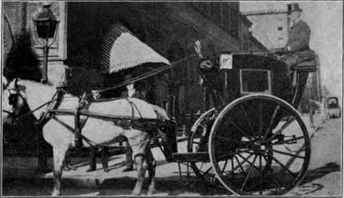 Saves front feet of horse.