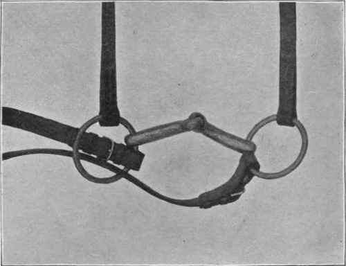 Adjustment of Snaffle for leading a horse, when mounted.