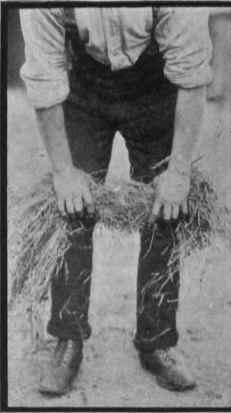 Details Of Grooming 60