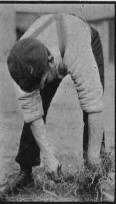 Details Of Grooming 62