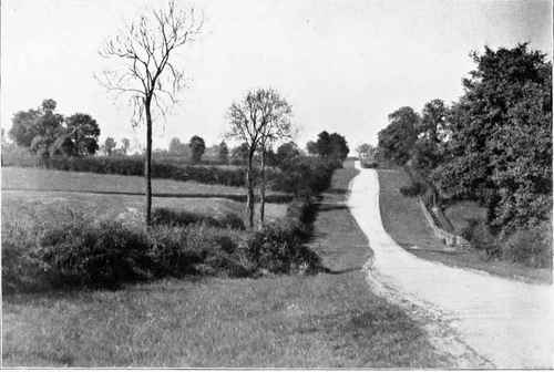 ROAD SUITABLE FOR EXERCISING HUNTERS.