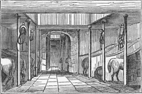 Doors 1