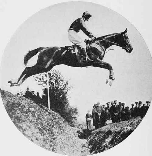 Fig. 12 - A fine bold fencer.