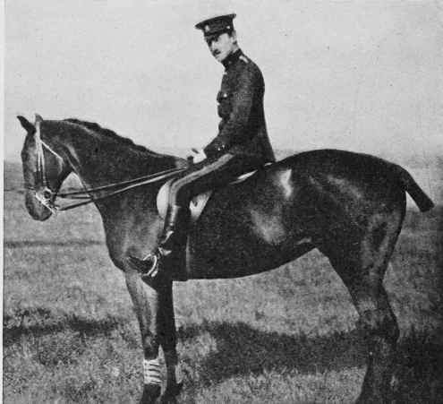Fig. 23 - Bay Mare - Balance fairly good.
