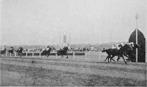 Fig. 15 - Fugleman and Manaton dead-heat for the Newbury Cup 1907.